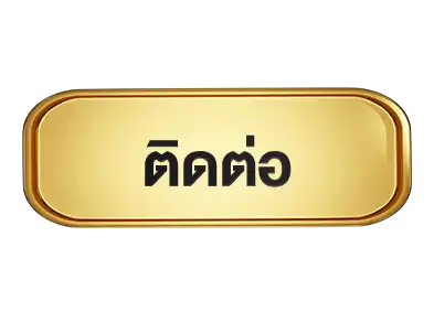 แบนเนอร์ 13
