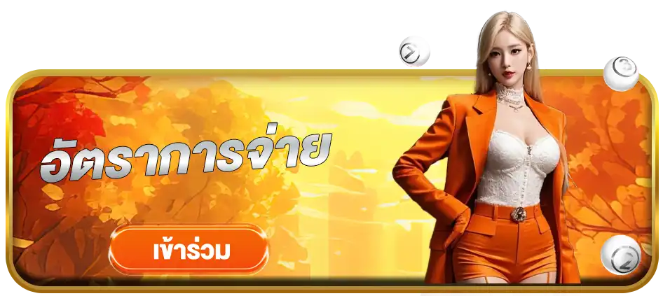แบนเนอร์ 3