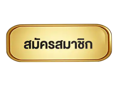 แบนเนอร์ 6